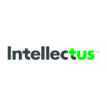 Intellectus Partners, LLC