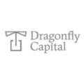 Dragonfly Capital Partners